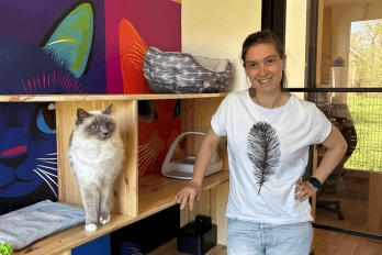 Chat'Ô Félins
