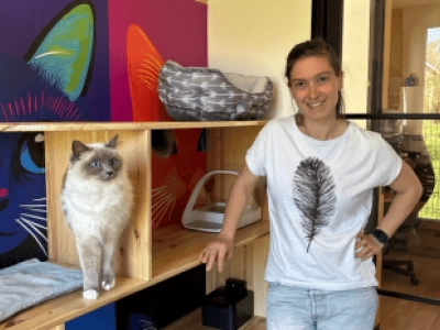 Chat'Ô Félins