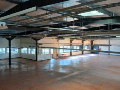 miniature-anthime-mouley