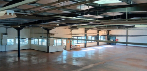 miniature-anthime-mouley